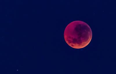 Add Search to Your Static Site with Lunr.js (Hugo, Vanilla JS)